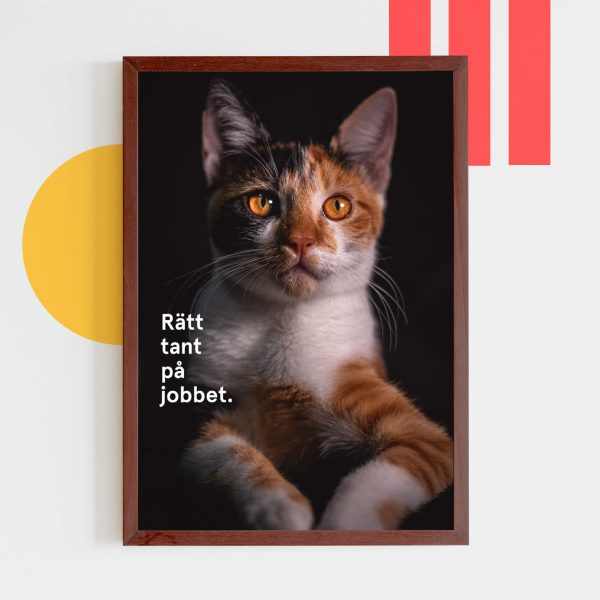 Poster med texten "Rätt tant på jobbet" till en bild på en katt.